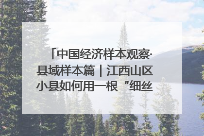 中国经济样本观察·县域样本篇｜江西山区小县如何用一根“细丝”拉出百亿级产业？