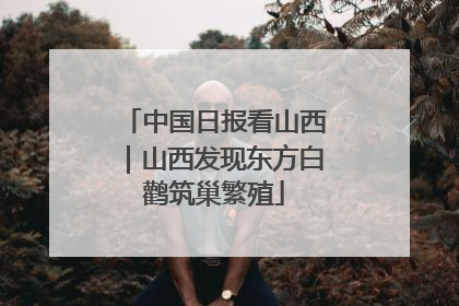 中国日报看山西｜山西发现东方白鹳筑巢繁殖