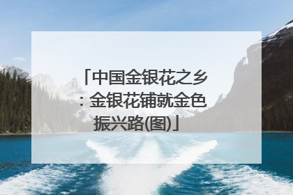 中国金银花之乡：金银花铺就金色振兴路(图)