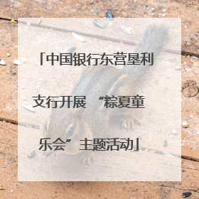 中国银行东营垦利支行开展 “粽夏童乐会”主题活动