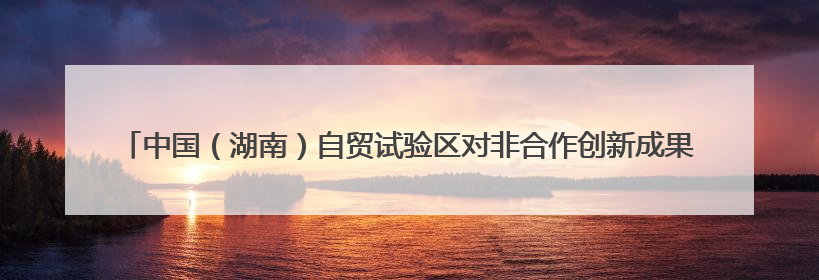 中国（湖南）自贸试验区对非合作创新成果发布 长沙片区对非贸易年均增长141%