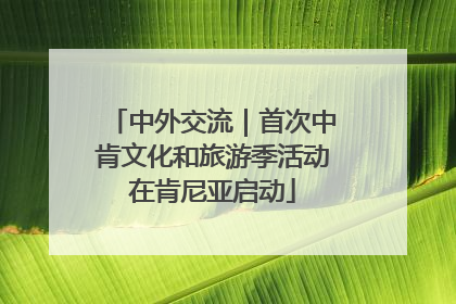 中外交流｜首次中肯文化和旅游季活动在肯尼亚启动