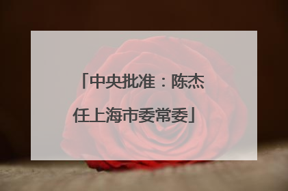 中央批准：陈杰任上海市委常委