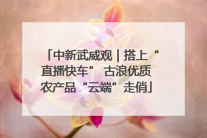 中新武威观｜搭上“直播快车” 古浪优质农产品“云端”走俏