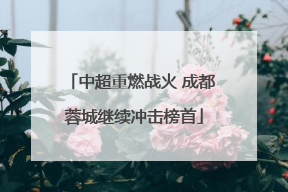 中超重燃战火 成都蓉城继续冲击榜首
