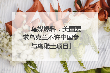 乌媒爆料：美国要求乌克兰不许中国参与乌稀土项目