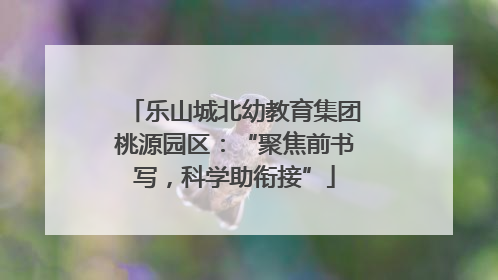 乐山城北幼教育集团桃源园区：“聚焦前书写，科学助衔接”