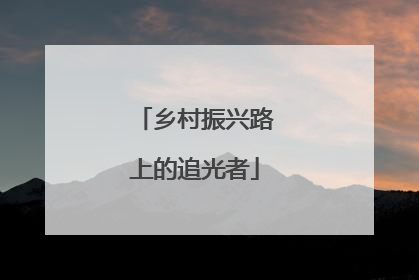 乡村振兴路上的追光者