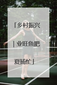 乡村振兴｜业旺鱼肥夏捕忙