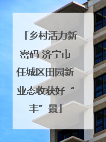乡村活力新密码 济宁市任城区田园新业态收获好“丰”景