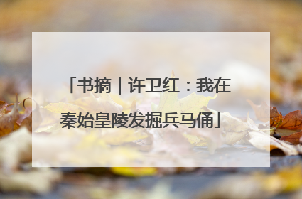 书摘｜许卫红：我在秦始皇陵发掘兵马俑