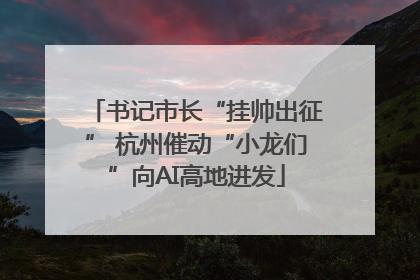 书记市长“挂帅出征” 杭州催动“小龙们”向AI高地进发