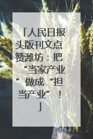 人民日报头版刊文点赞潍坊：把“当家产业”做成“担当产业”！