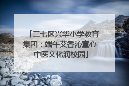 二七区兴华小学教育集团：端午艾香沁童心 中医文化润校园