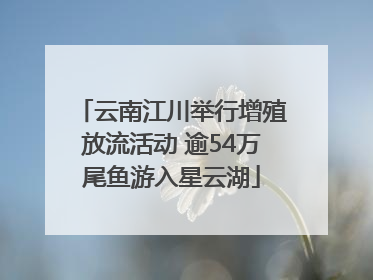 云南江川举行增殖放流活动 逾54万尾鱼游入星云湖