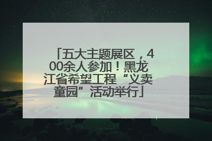 五大主题展区，400余人参加！黑龙江省希望工程“义卖童园”活动举行