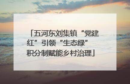 五河东刘集镇“党建红”引领“生态绿” 积分制赋能乡村治理