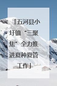 五河县小圩镇“三聚焦”全力推进夏种夏管工作