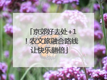 京郊好去处+1！农文旅融合路线让快乐翻倍