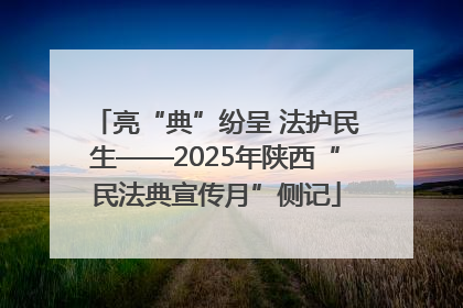 亮“典”纷呈 法护民生——2025年陕西“民法典宣传月”侧记