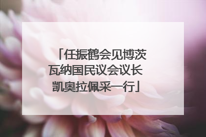 任振鹤会见博茨瓦纳国民议会议长凯奥拉佩采一行