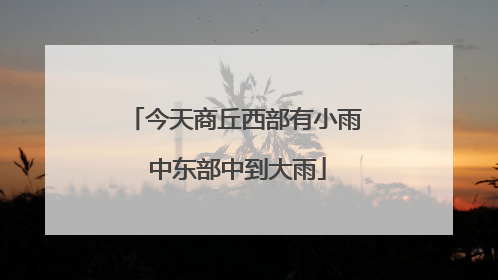 今天商丘西部有小雨 中东部中到大雨