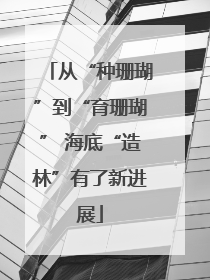 从“种珊瑚”到“育珊瑚” 海底“造林”有了新进展