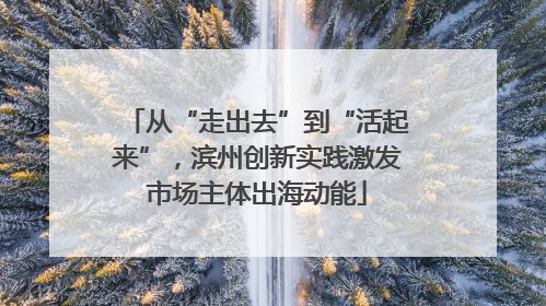 从“走出去”到“活起来”，滨州创新实践激发市场主体出海动能