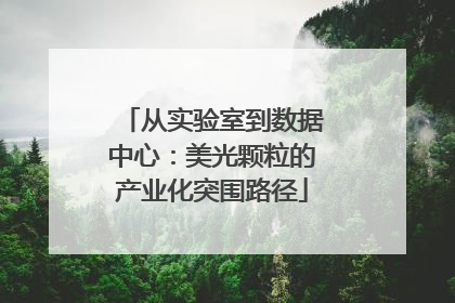 从实验室到数据中心：美光颗粒的产业化突围路径