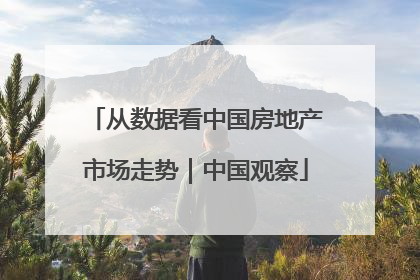 从数据看中国房地产市场走势｜中国观察