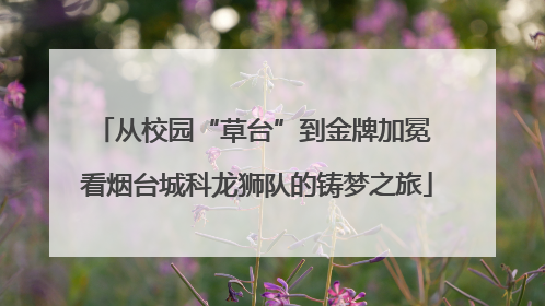 从校园“草台”到金牌加冕 看烟台城科龙狮队的铸梦之旅