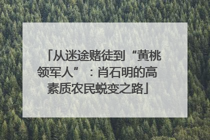 从迷途赌徒到“黄桃领军人”：肖石明的高素质农民蜕变之路