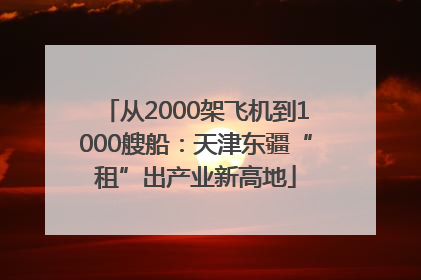 从2000架飞机到1000艘船：天津东疆“租”出产业新高地
