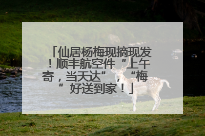仙居杨梅现摘现发！顺丰航空件“上午寄，当天达”，“梅”好送到家！