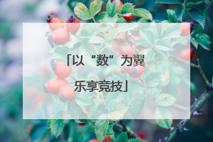 以“数”为翼 乐享竞技