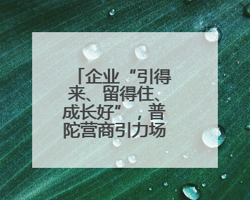 企业“引得来、留得住、成长好”，普陀营商引力场如何炼就？