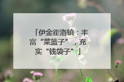 伊金霍洛镇：丰富“菜篮子”，充实“钱袋子”