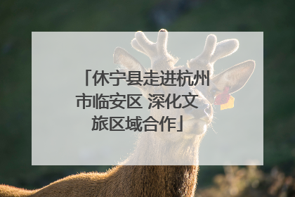 休宁县走进杭州市临安区 深化文旅区域合作