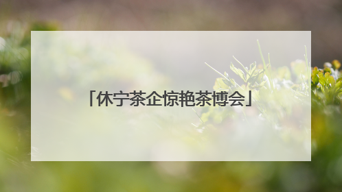 休宁茶企惊艳茶博会