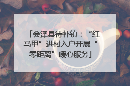 会泽县待补镇：“红马甲”进村入户开展“零距离”暖心服务