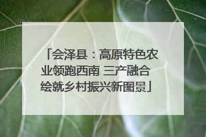 会泽县：高原特色农业领跑西南 三产融合绘就乡村振兴新图景