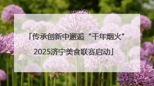传承创新中邂逅“千年烟火” 2025济宁美食联赛启动