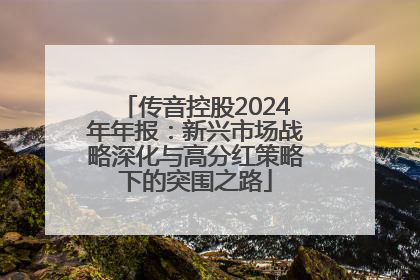 传音控股2024年年报：新兴市场战略深化与高分红策略下的突围之路