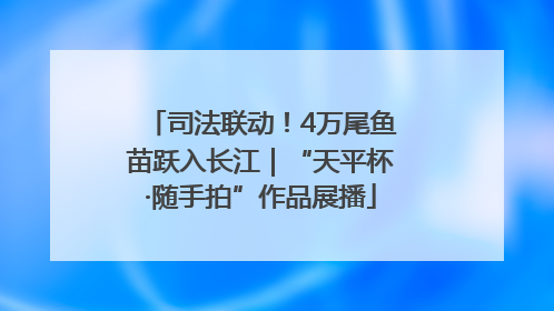 司法联动！4万尾鱼苗跃入长江｜“天平杯·随手拍”作品展播