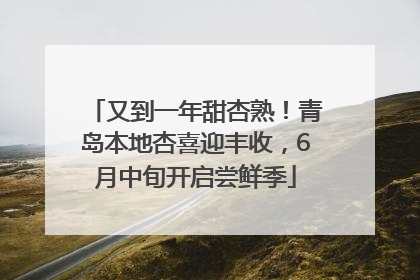 又到一年甜杏熟！青岛本地杏喜迎丰收，6月中旬开启尝鲜季