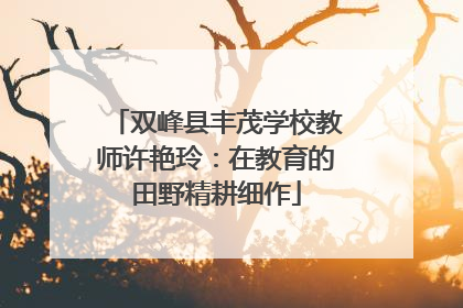 双峰县丰茂学校教师许艳玲：在教育的田野精耕细作