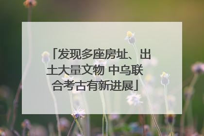 发现多座房址、出土大量文物 中乌联合考古有新进展