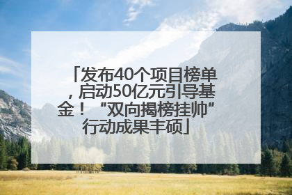 发布40个项目榜单，启动50亿元引导基金！“双向揭榜挂帅”行动成果丰硕