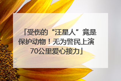 受伤的“汪星人”竟是保护动物！无为警民上演70公里爱心接力