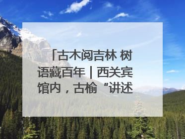 古木阅吉林 树语藏百年｜西关宾馆内，古榆“讲述”时光絮语